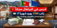 منحة جامعة بيرا الداخلية في البرتغال – إعفاء من الرسوم ومنحة شهرية (بكالوريوس، ماجستير، دكتوراه)